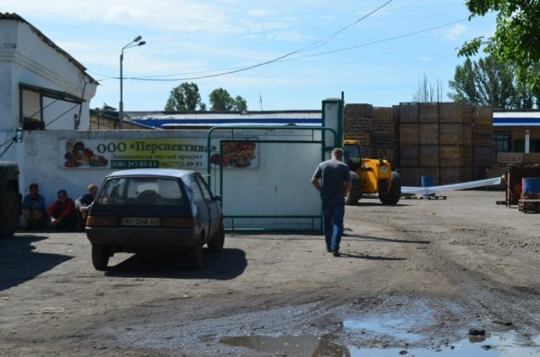 Бойовики з важкої техніки обстріляли овочеву базу, є загиблі. ФОТО. ВІДЕО
