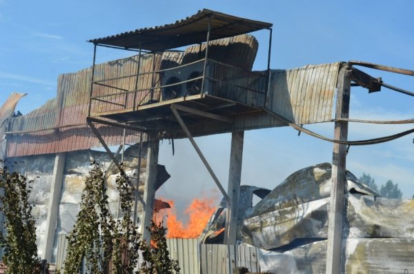 Бойовики з важкої техніки обстріляли овочеву базу, є загиблі. ФОТО. ВІДЕО