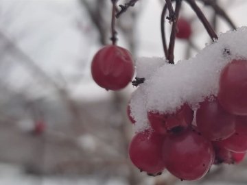 Погода у Луцьку та Волинській області на завтра, 4 грудня