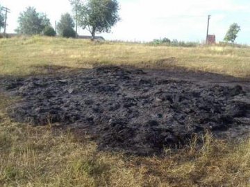 На Харківщині дитина згоріла у соломі