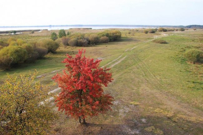 Осіння магія: світанки та вечори на Шацьких озерах досі вражають красою. ФОТО