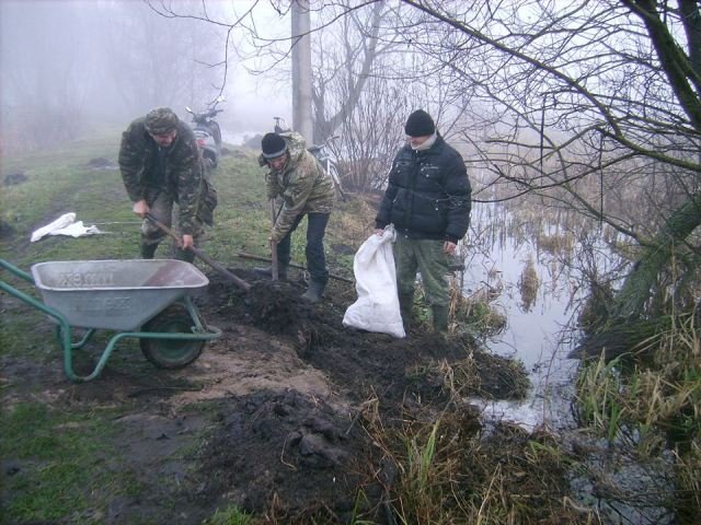Через бобрів на Волині виникла загроза повені
