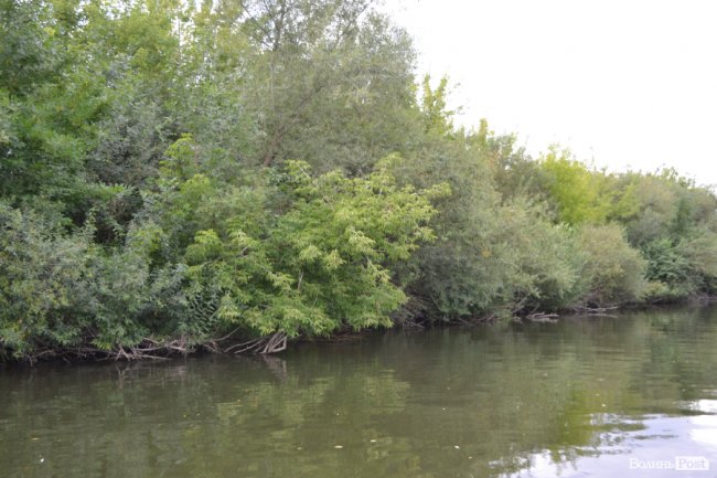 Розчищення Стиру: показали, на якому етапі роботи. ФОТО