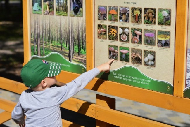 Ікони, картини, сорочки: головний лісничий у Володимирі-Волинському дивує своїми вишивками