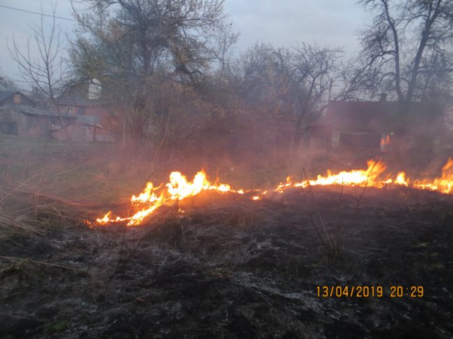 Вогонь вже підбирався до будинку: у Луцьку через палія сухостою ледь не загорілась хата. ФОТО