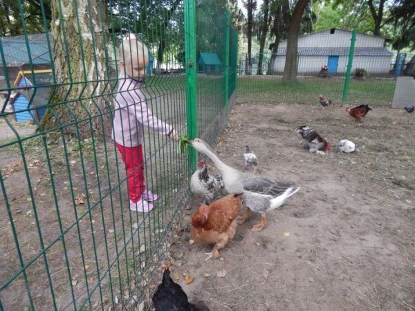 Дуже компанійська і привітна до людей. Особливо до тих, хто приносить її улюблені ласощі – листя кульбаби)