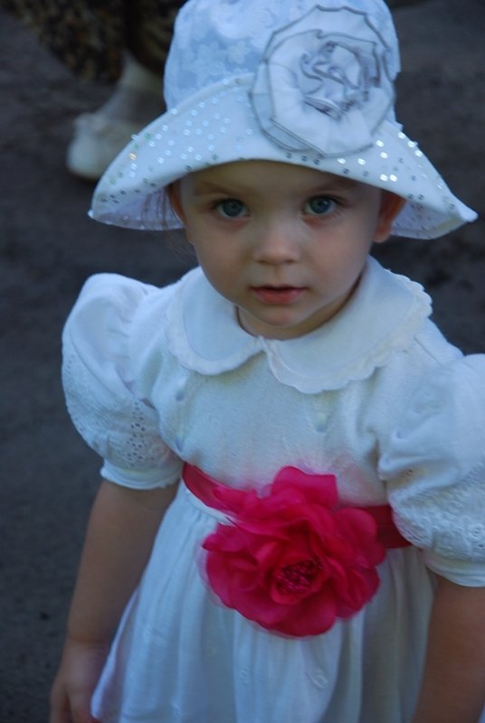 Як у луцькому храмі святкували Трійцю. ФОТО