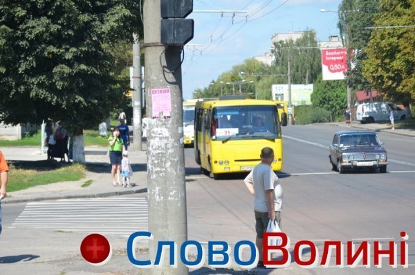 Лучани на «зебрі». ФОТО