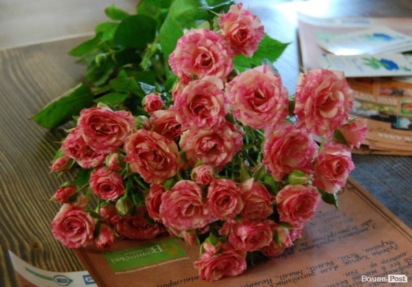 У Луцьку відкрилася виставка копій старих картин