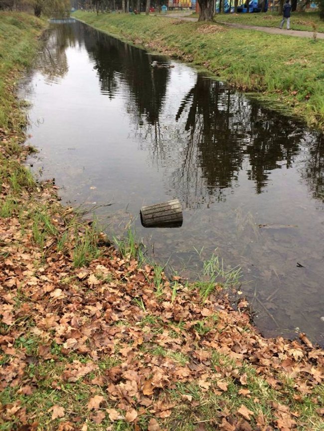 Муніципали показали, як виловлювали смітники з канави. ФОТО