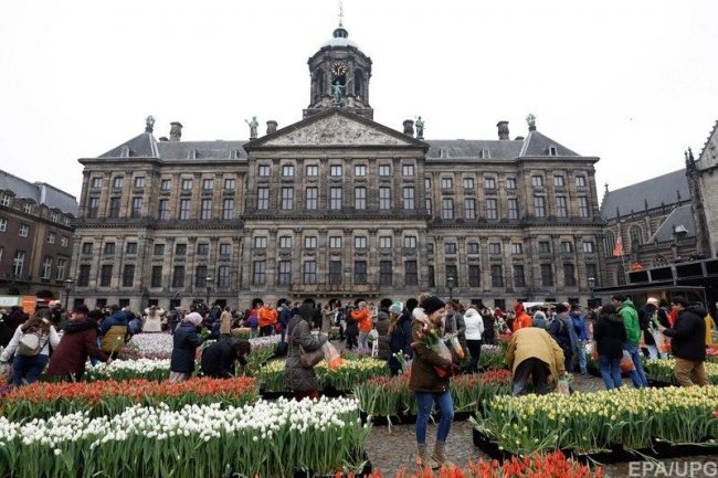 У Нідерландах безплатно роздали 200 тисяч тюльпанів