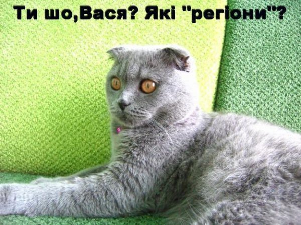 Бабуся і кіт: фотожабоманія триває. ФОТО