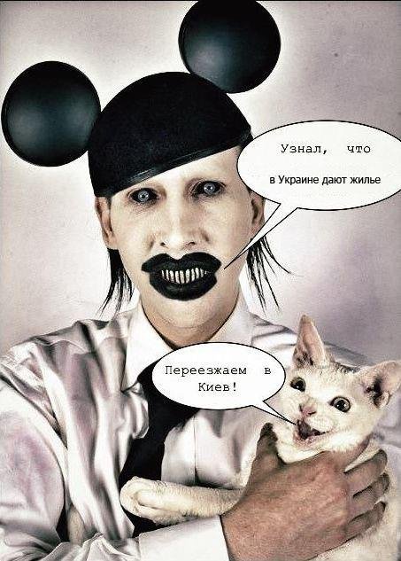 Бабуся і кіт: фотожабоманія триває. ФОТО