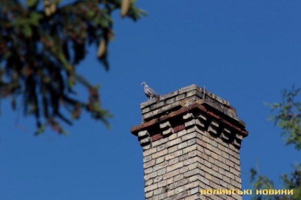 Луцьк в деталях. ФОТО