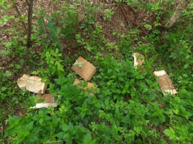 Заховав у кущах гумовий човен: на Волині прикордонники затримали контрабандиста. ФОТО