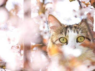 Погода в Луцьку та Волинській області на понеділок, 5 квітня