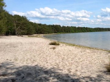 На Шацьких озерах троє дівчат пішли погуляти і заблукали