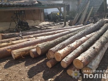 У Ковельському районі викрили підпільну пилораму. ФОТО