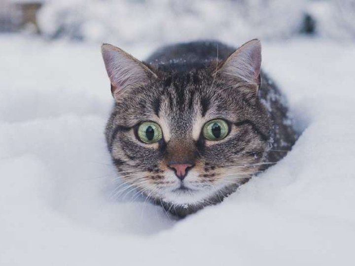 На Волинь повертаються морози до -16°C та сніг