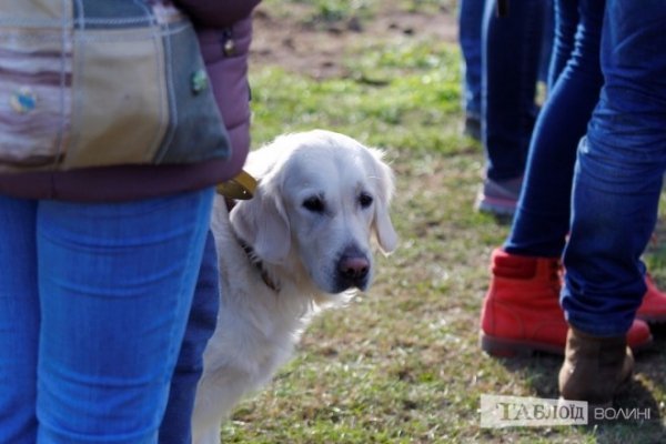 Луцький іподром перетворився на справжнє царство тварин. ФОТО