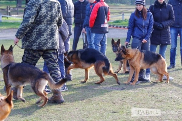 Луцький іподром перетворився на справжнє царство тварин. ФОТО