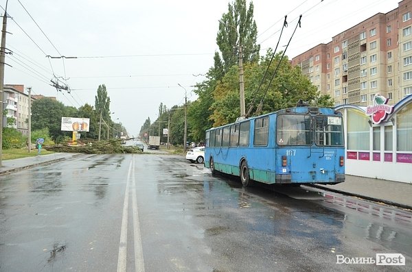 У Луцьку вітер звалив дерево на стовп: лінії електропередач валяються на дорозі. ФОТО. ОНОВЛЕНО
