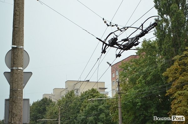 У Луцьку вітер звалив дерево на стовп: лінії електропередач валяються на дорозі. ФОТО. ОНОВЛЕНО