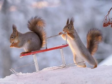 Погода в Луцьку та Волинській області на завтра, 20 лютого