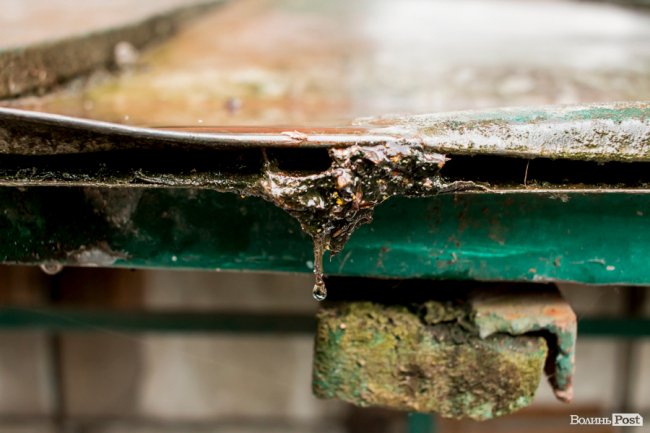 Парасольки і калюжі: дощовий день у Луцьку. ФОТО