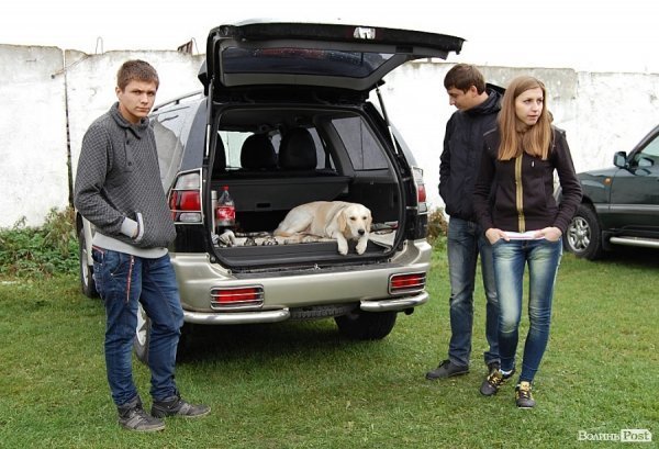 У Луцьку влаштували собаче свято. ФОТО
