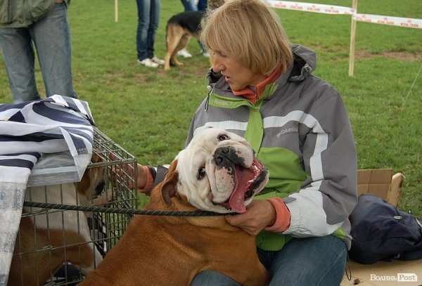 У Луцьку влаштували собаче свято. ФОТО