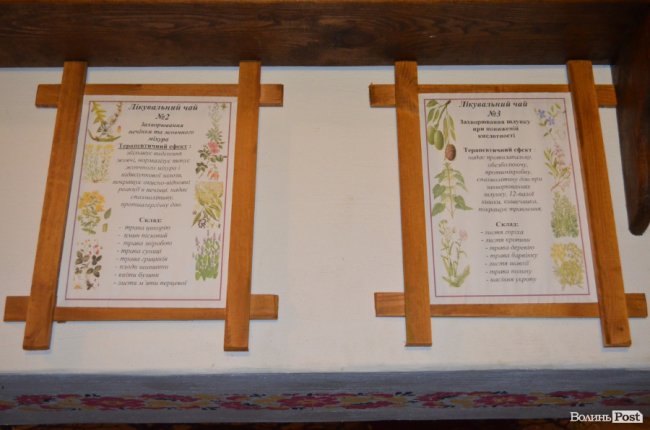 Кращий волинський санаторій: як у сосновому лісі «цвіте» «Пролісок». ФОТО