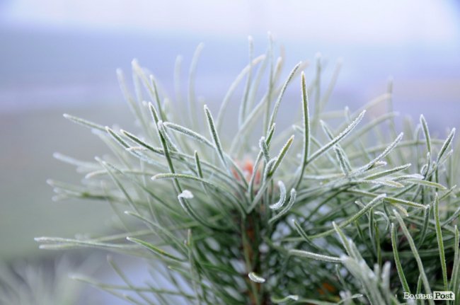 Паморозь і густий туман: чарівний ранок у Луцьку. ФОТО