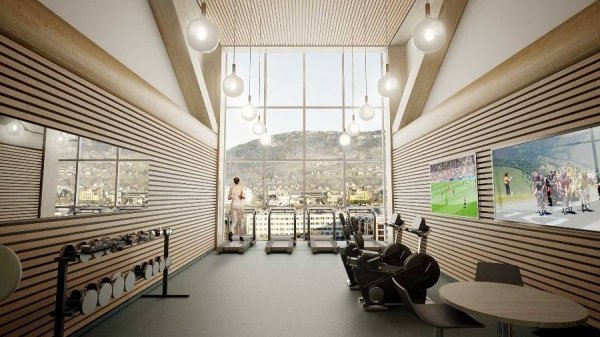 Найвищий хмарочос з дерева. ФОТО