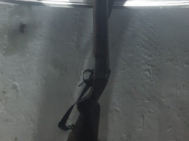 200 доларів - аби уникнути покарання: волинянин незаконно вполював зайця та козу