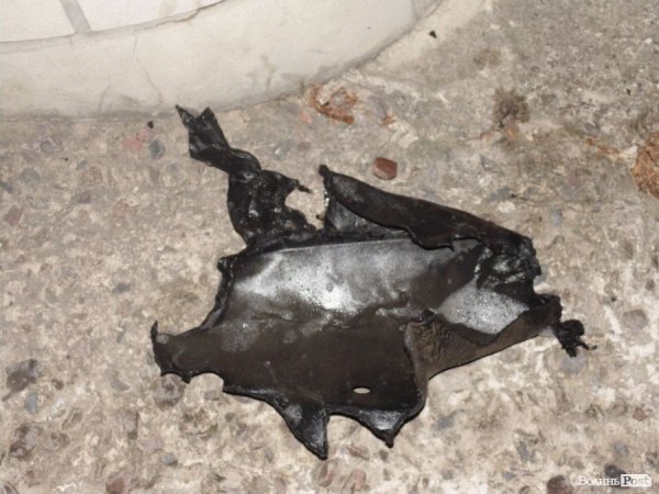 Невідомі спалили машину дружини громадського діяча Володимира Пащенка. ФОТО