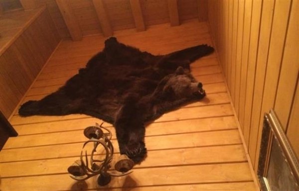 Дача Медведчука на Закарпатті. ФОТО 