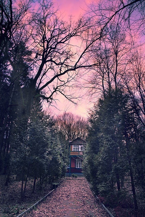 Фотовиставка Олександра Калініна