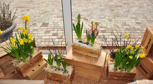 Море подарунків та великі знижки: як луцький «Магазин Упаковки» відсвяткує дворіччя*