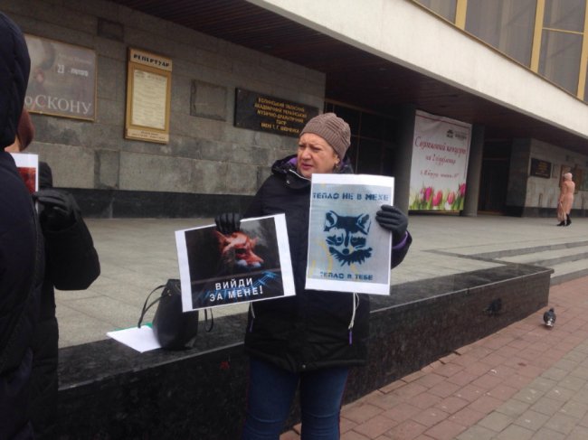 Електричний струм та газова камера: у Луцьку розповідають, як на хутряних фермах вбивають тварин. ФОТО