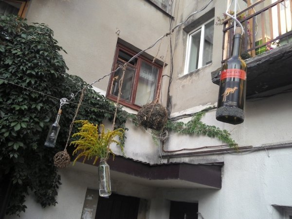 «Маруся» у винограді. Смачного Луцька!