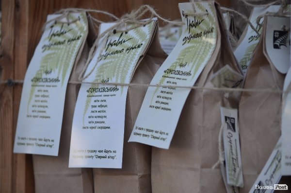 Фотовраження: «Озерний вітер» відкрив двері для дітей та дорослих