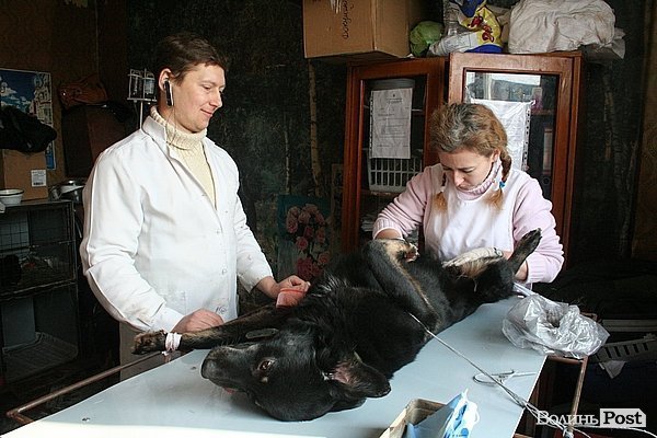 ФОТОРІК-2012. Частина перша