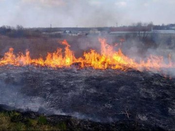 На Волині пожежники гасили загорання трави та торфу