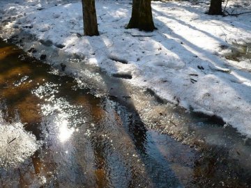 Погода в Луцьку та Волинській області на завтра, 29 лютого