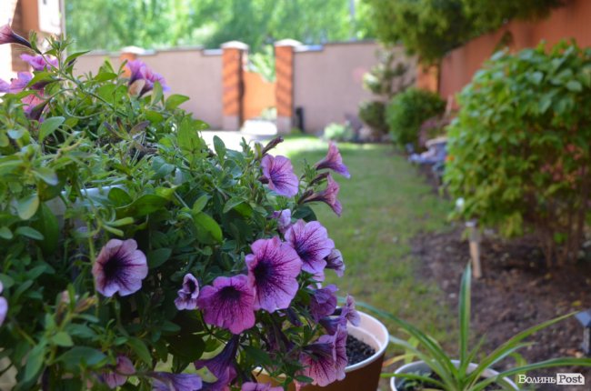 «Ми не могли повірити, що так буває». ЖІНКА З ЛУЦЬКА БЕЗОПЛАТНО ПРИХИСТИЛА ДЕКІЛЬКА СІМЕЙ ПЕРЕСЕЛЕНЦІВ