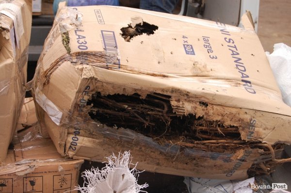 Під Луцьком знищили наркотиків на 2 мільйони гривень. ФОТО