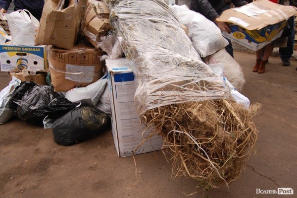 Під Луцьком знищили наркотиків на 2 мільйони гривень. ФОТО