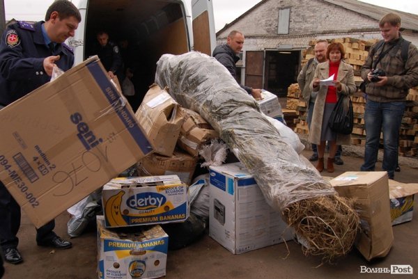Під Луцьком знищили наркотиків на 2 мільйони гривень. ФОТО