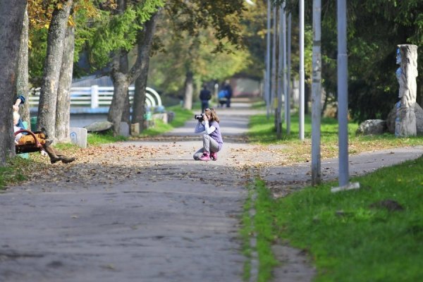 «Бабине літо» і «бебі-бум» Луцьку. ФОТО
